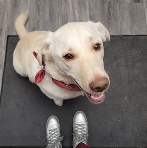 Meet your Posher, Spáqèm